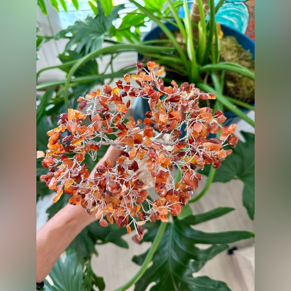 Other - Carnelian Tree